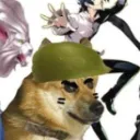 Doge 2 Official  Discord Server