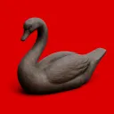 Stone_Swan's server