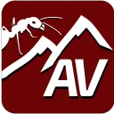 ANTSVIENNA | Ant Keeping Community