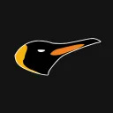 King Penguin Racing Team