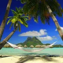 The Resort