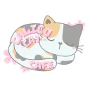 Calico Cat Cafe