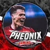 Pheonix Gaming YT