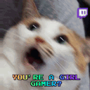 🐈Gaming Guild