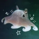 ︰⸝⸝˚₊🪼﹕Ocean’s Depths