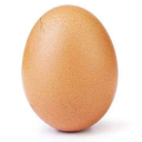 🥚🥚🥚🥚🥚 🥚🥚🥚🥚 🥚🥚🥚🥚🥚 icon