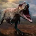 Ultimate Ark