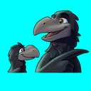 ANUDORAK