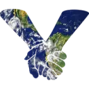 Community Project