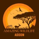 AMAZING WILDLIFE dev team