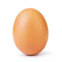 EMC Followers Of Egg - Nostra