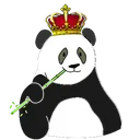 🐼🐼 La Panda Room 🐼🐼