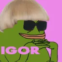 Igor server