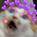 ðŸ˜º Catuetteâœ¨ Server Icon