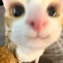 rawrk