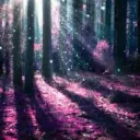 Fairy Forest