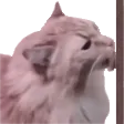 MikeTypeX's server