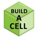 Build-a-Cell