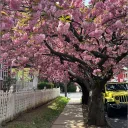 Lancaster, PA