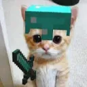 cat(craft)  Discord Server Icon