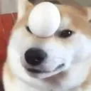 Egg Dog Hangout