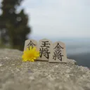 Shogi en Español