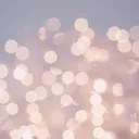 *~~~Embrium~~~*