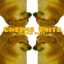 Cheems Unite
