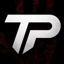 DayZ : The Project icon