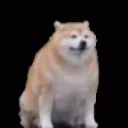 danks gamer hangout