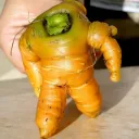 VEGETABLE GANG