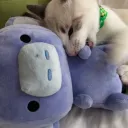 暇人のためのサーバー