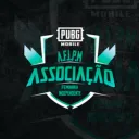 ASSOCIAÇÃO FEMININA INDEPENDENTE DE PUBGM
