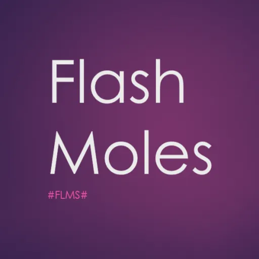 Flash Moles — мониторинг Discord сервера, статистика и рейтинг