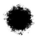 The Whole Discord Server Icon