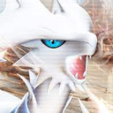 Pokémon Kingdom EN