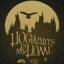 Hogwarts: Merlin's Shadow Discord Server Icon