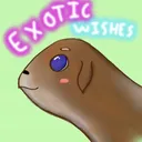 ✧Still Exotic✧