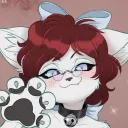 Cat Stuff