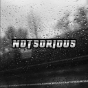 Notsorius icon
