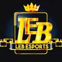 LEBANON ESPORTS  TM Discord Server Icon