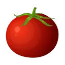 The Ketchup Garden