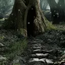 Forest Hideout