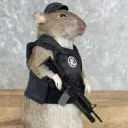 The RATPACK