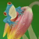 Froggy Family!
