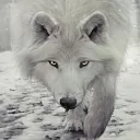 Winter Wolves