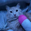 Suuu