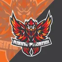 Rising Phoenix Gaming