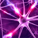 Synapse