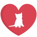 Kittenplay